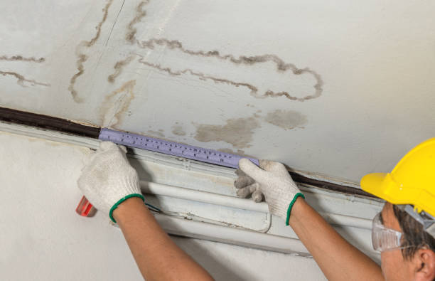 Reliable Water Damage contractor in Exeter, CA by Water Damage Irwin